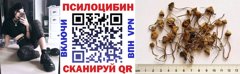 Галлюциногенные грибы GOLDEN TEACHER  Кольчугино 